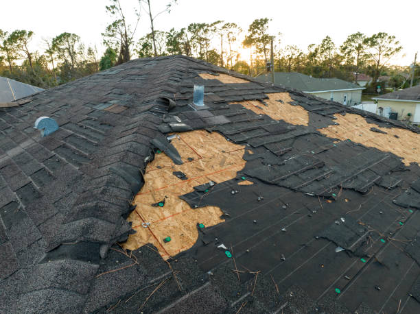 Best Storm Damage Roof Repair  in Union City, OH